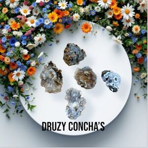 Unique Druzy Conchas